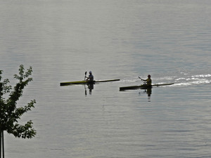 Swim kayaking